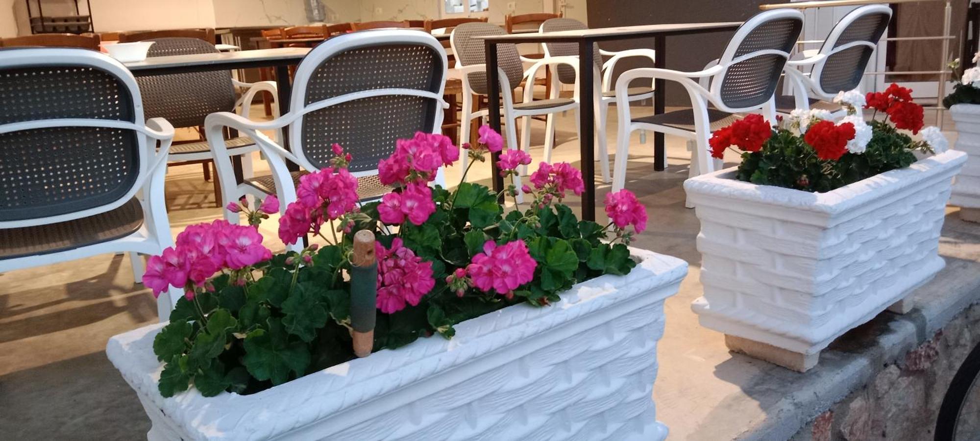 Hotel Villa Ruci Εξαμίλιο Εξωτερικό φωτογραφία